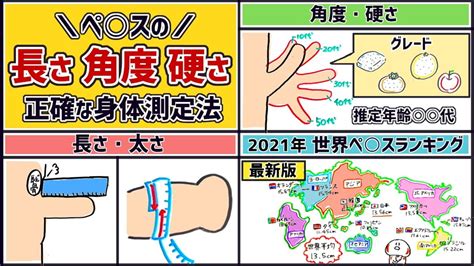 平均 チン長|ペニスの平均的な長さと太さとは？複数の研究データ。